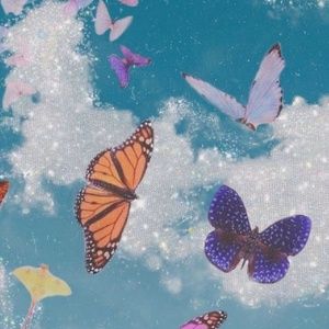 Meet your Posher, Alexa